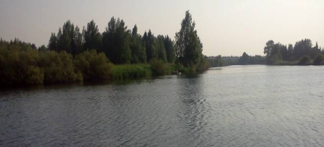 Озеро Старица под деревней Чикманово